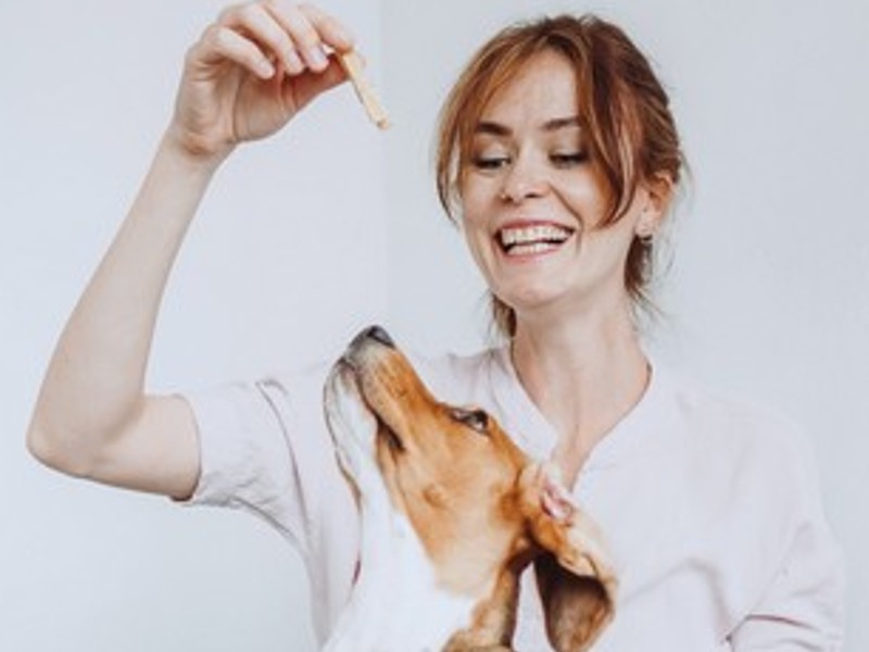 korisno je imati pri ruci kekse za pse