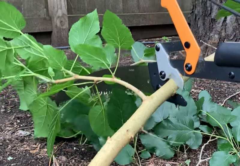 Fiskars